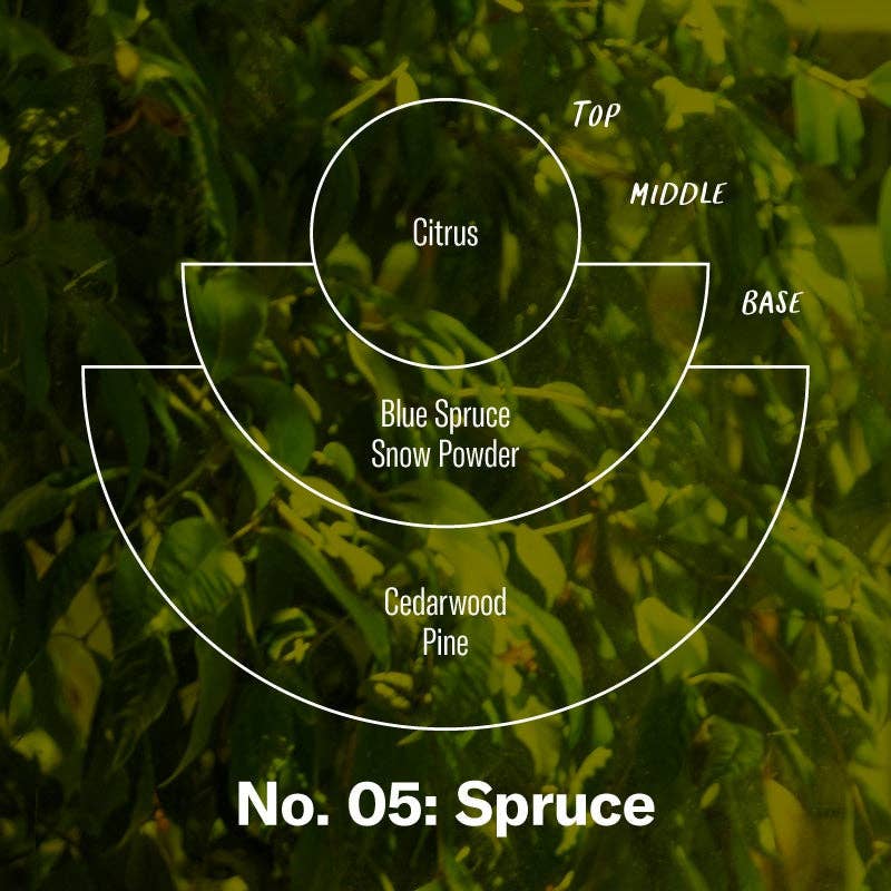 Spruce - 7.2 oz Standard Candle