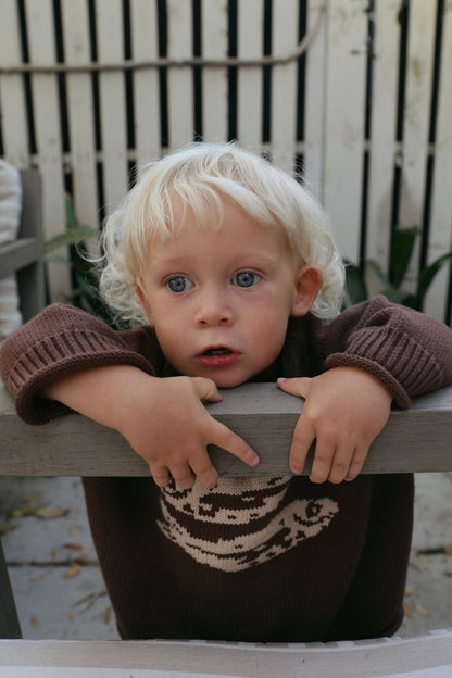 BROWN TODDLER & KIDS COTTON FISH SWEATER